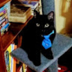 Meet your Posher, Sassy